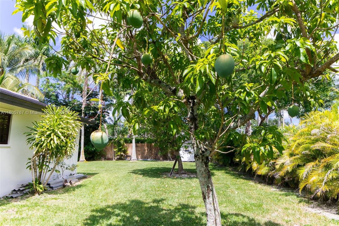 Vendido Recientemente: $1,999,999 (5 camas, 3 baños, 2574 Pies cuadrados)