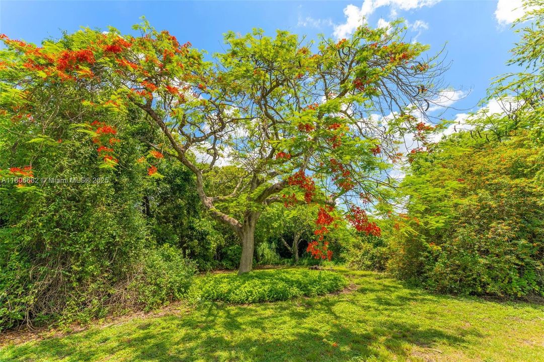 THE 5 ACRES WAS A FORMER NURSERY WITH HUGE RARE SPECIMENS GROWING THRUOUT THE GROUNDS, AND ASSORTED RARE FRUIT TREES. SEE ATTACHMENTS FOR LIST. RIVALS FAIRCHILDS!!