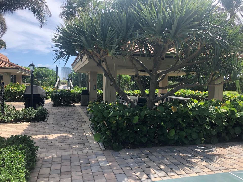 Oceantree Gazebo & Gas Grill