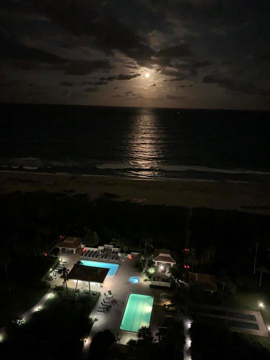 Night View of Ocean, pools, & grounds