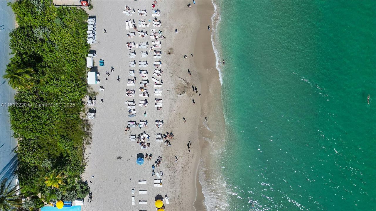 待售: $565,000 (2 贝兹, 2 浴室, 1346 平方英尺)