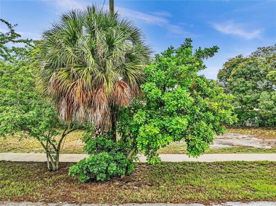 Recently Sold: $95,000 (0.10 acres)