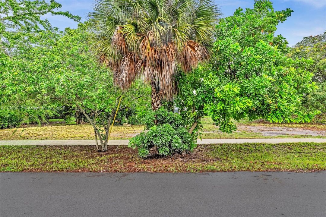 Recently Sold: $95,000 (0.10 acres)