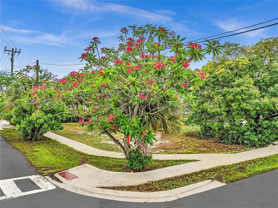 Recently Sold: $95,000 (0.10 acres)