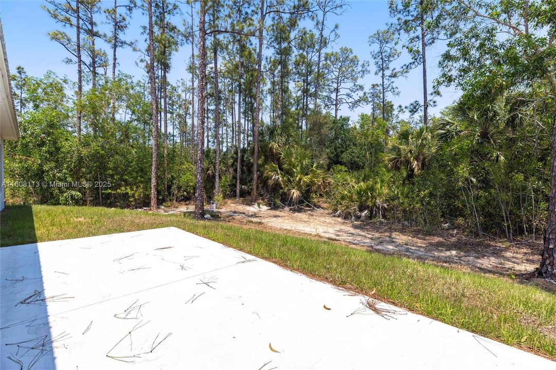 В аренду: $2,200 (3 спален, 2 ванн, 1503 Квадратных фут)