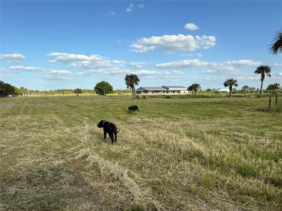 待售: $1,899,000 (20.25 acres)