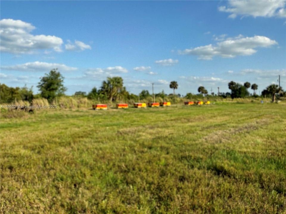 待售: $1,899,000 (20.25 acres)