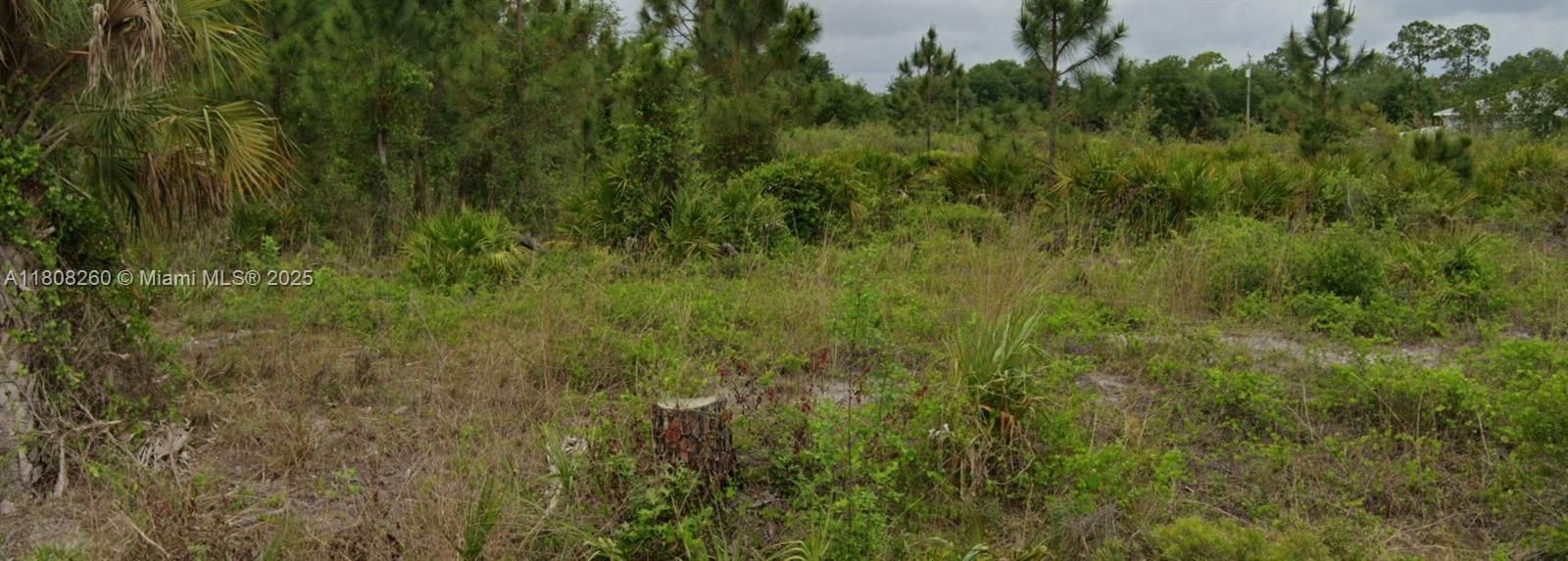 Недавно продано: $4,900 (0.11 acres)