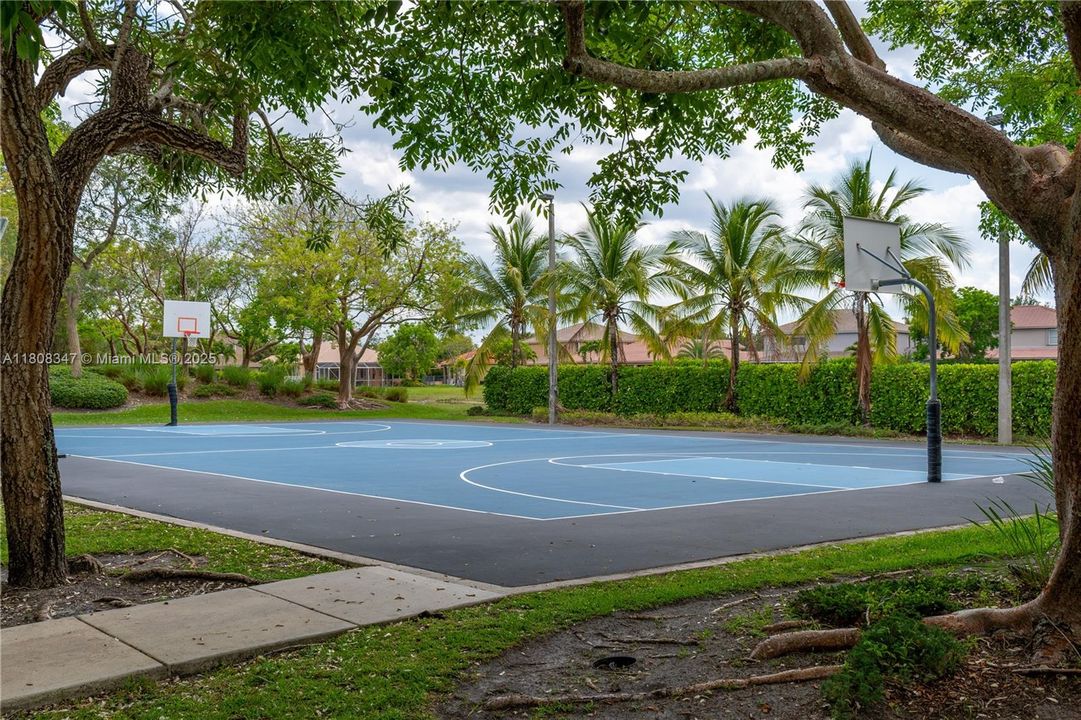 Basket Ball Court