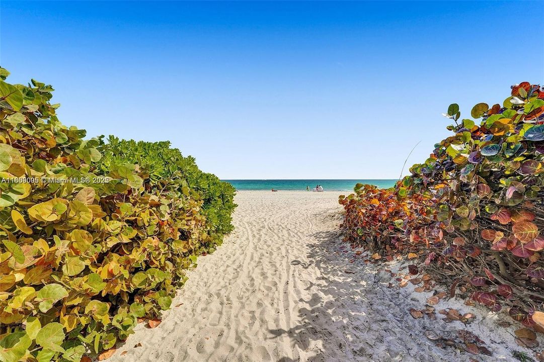 合同活跃: $460,000 (1 贝兹, 1 浴室, 905 平方英尺)