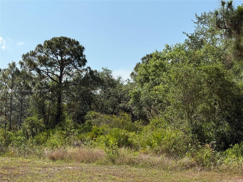 Recently Sold: $49,999 (1.25 acres)