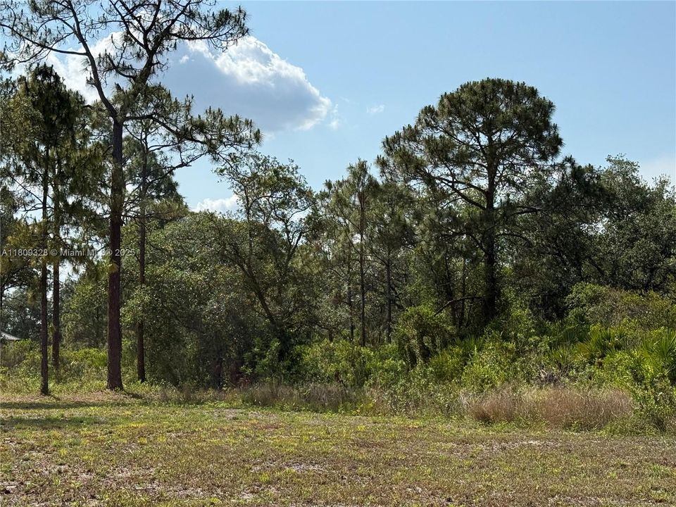 Recently Sold: $49,999 (1.25 acres)