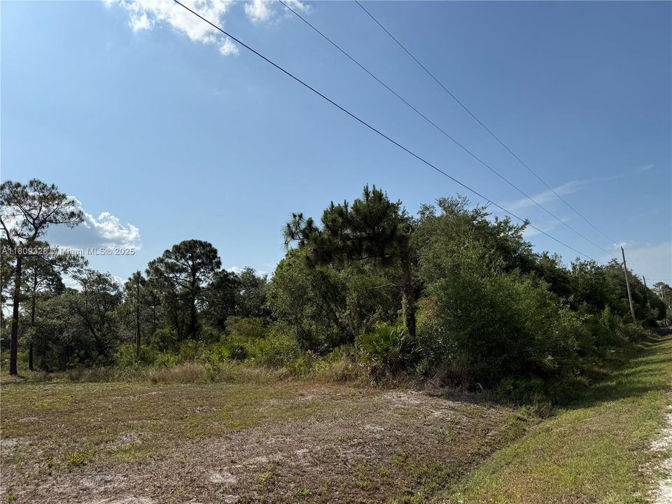 Recently Sold: $49,999 (1.25 acres)