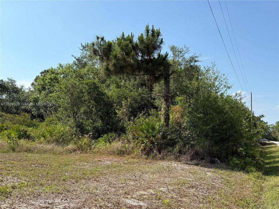 Recently Sold: $49,999 (1.25 acres)