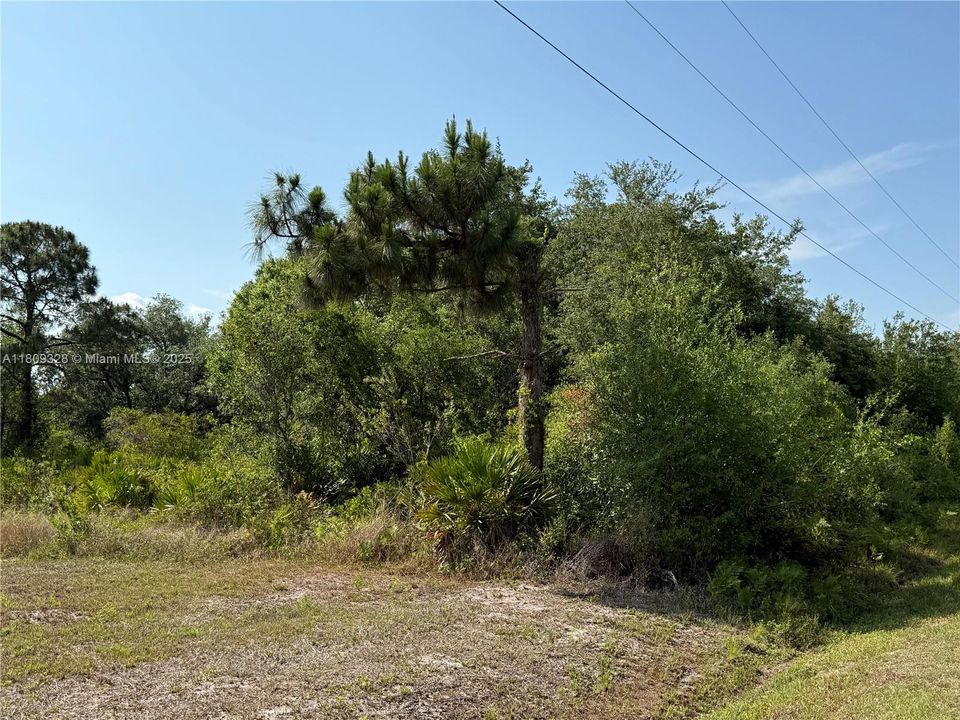 Recently Sold: $49,999 (1.25 acres)