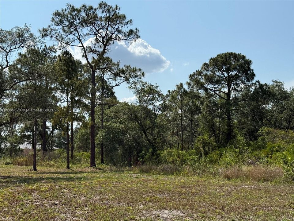 Recently Sold: $49,999 (1.25 acres)