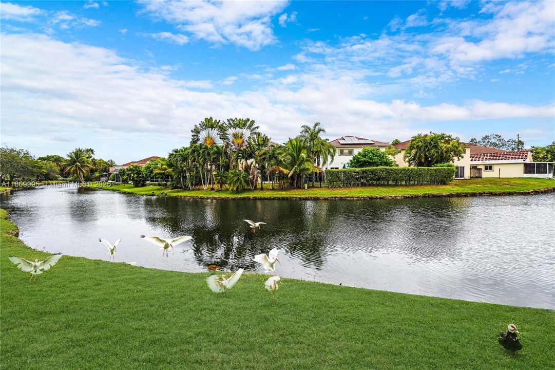 Vendido Recientemente: $339,000 (2 camas, 2 baños, 1231 Pies cuadrados)