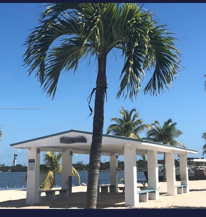 Community Picnic Area