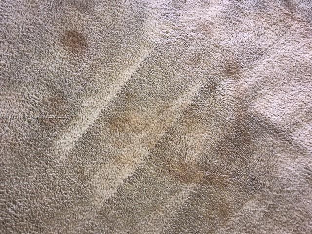 Недавно арендовано: $2,700 (2 спален, 2 ванн, 1070 Квадратных фут)