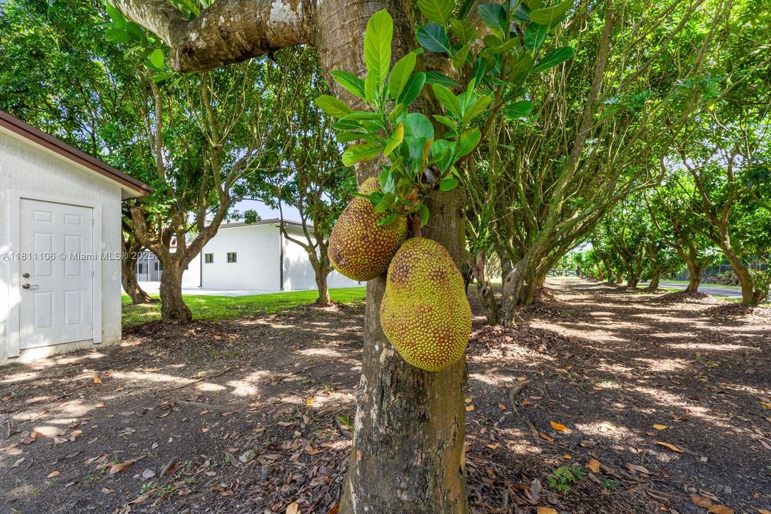 Vendido Recientemente: $2,250,000 (4 camas, 4 baños, 3123 Pies cuadrados)