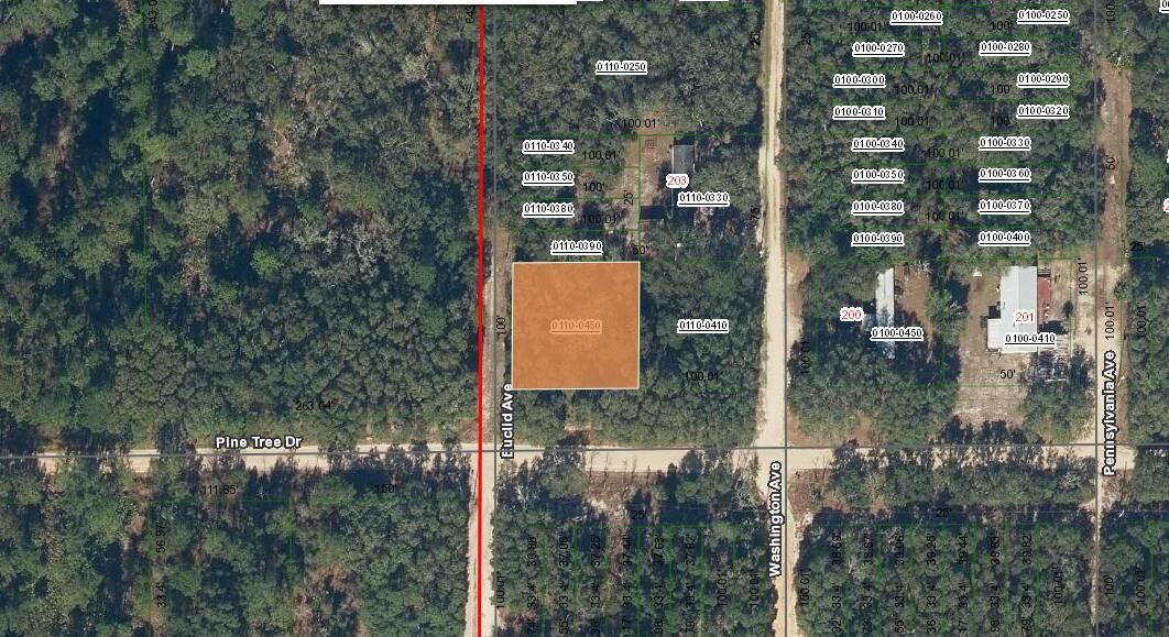 pine tree dr