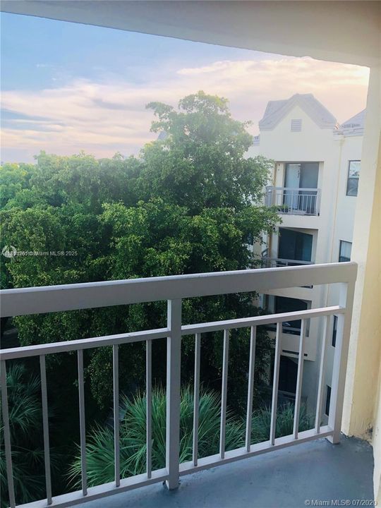 Garden View from Unit 527