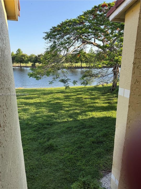 合同活跃: $1,900 (1 贝兹, 1 浴室, 743 平方英尺)