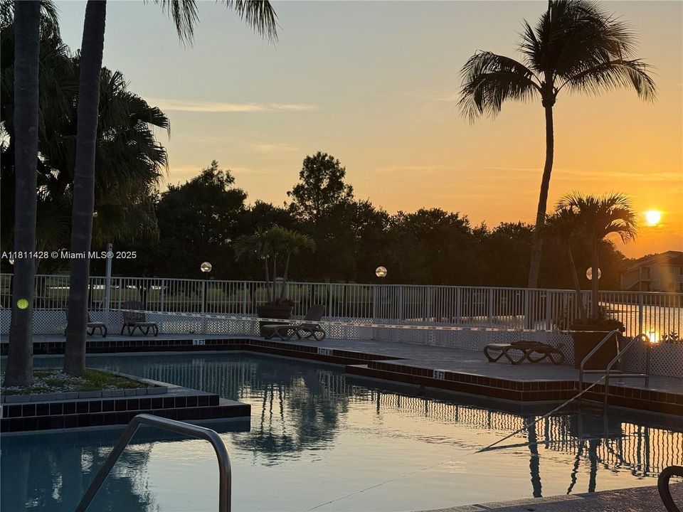 合同活跃: $1,900 (1 贝兹, 1 浴室, 743 平方英尺)