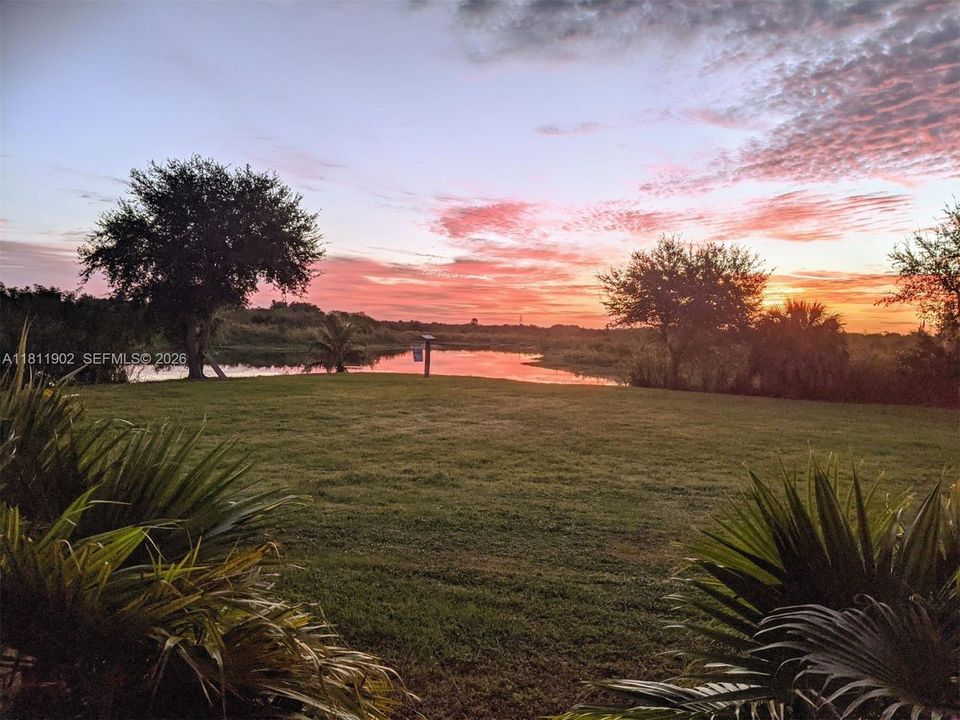 Sunset