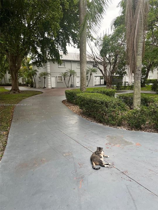 Под контрактом: $174,900 (1 спален, 1 ванн, 664 Квадратных фут)