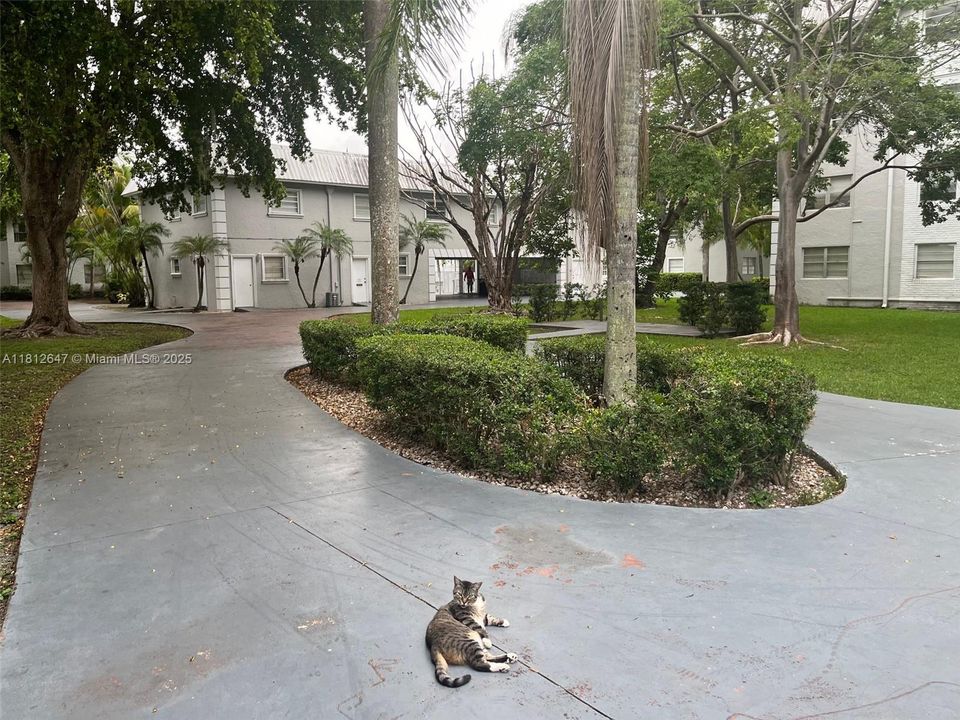 Под контрактом: $174,900 (1 спален, 1 ванн, 664 Квадратных фут)