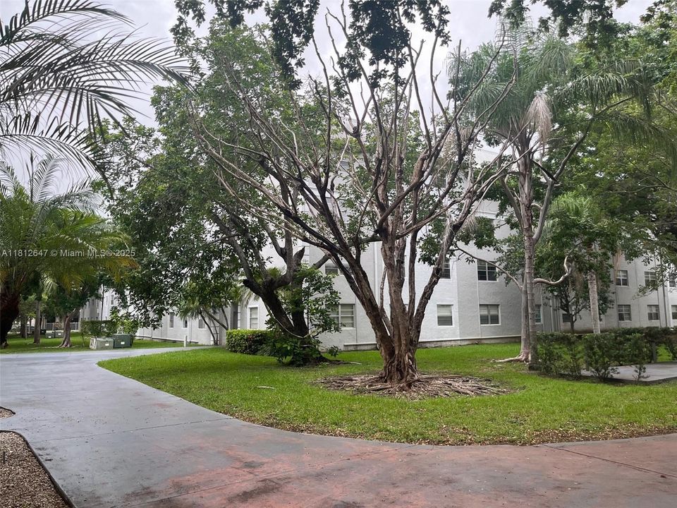 Под контрактом: $174,900 (1 спален, 1 ванн, 664 Квадратных фут)