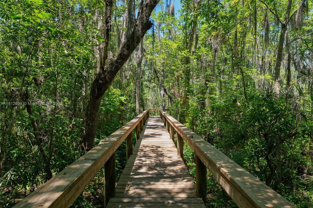 All roads lead to Doctor's Lake!