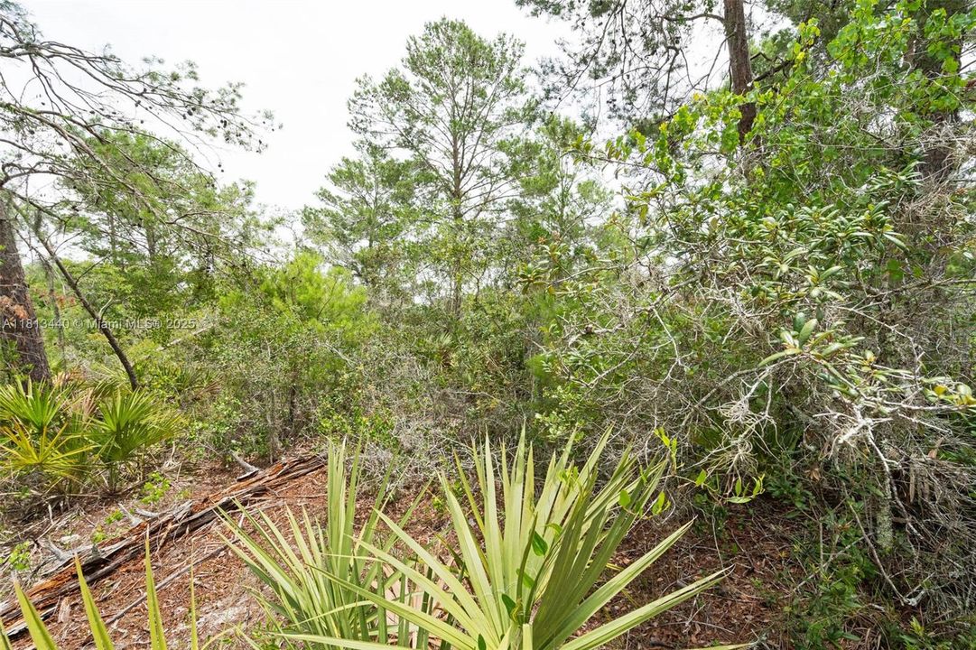 For Sale: $10,000 (0.18 acres)