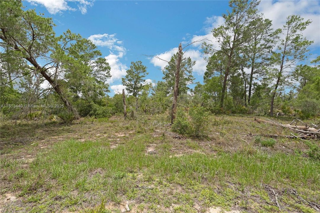 For Sale: $10,000 (0.18 acres)