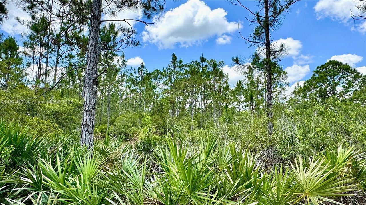 For Sale: $470,000 (3 beds, 2 baths, 1484 Square Feet)