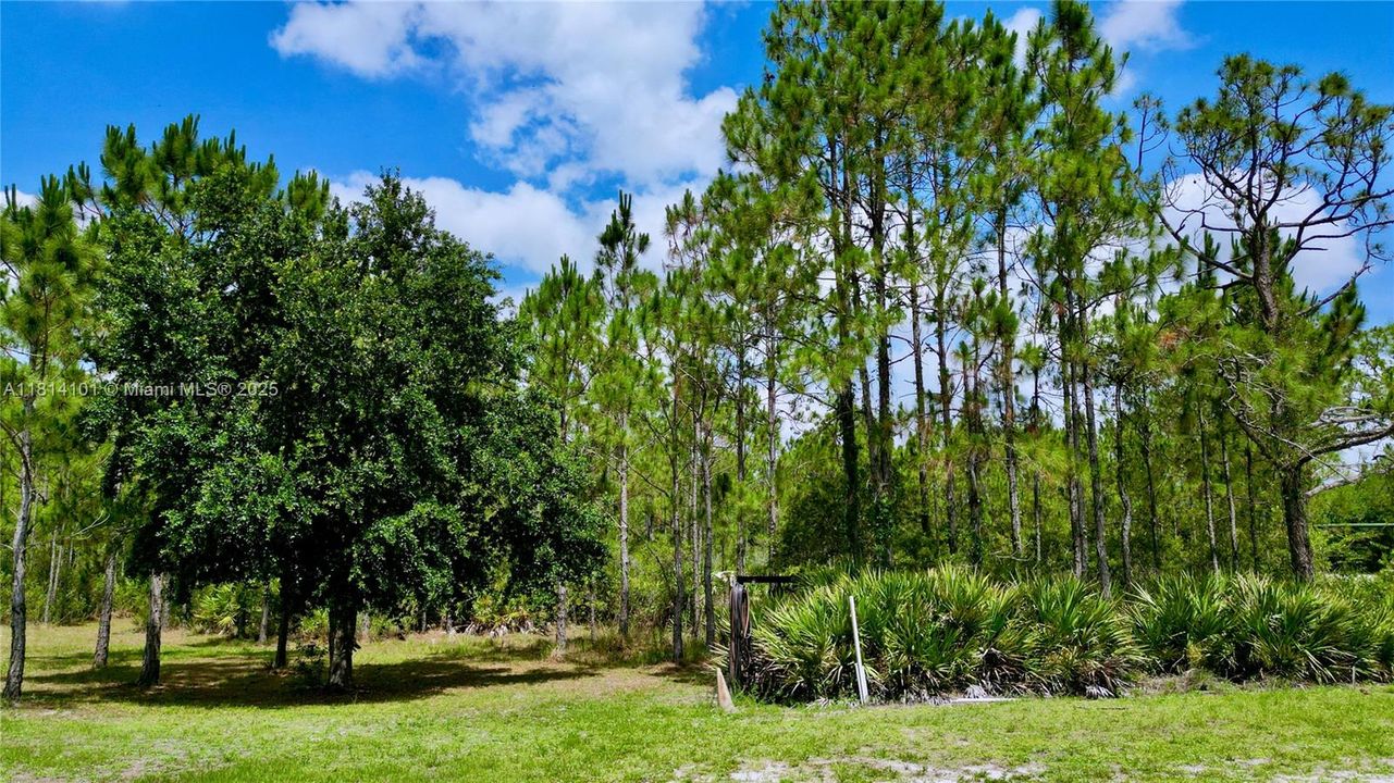 For Sale: $470,000 (3 beds, 2 baths, 1484 Square Feet)