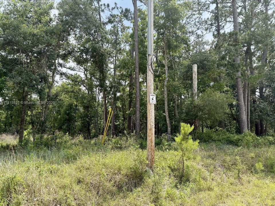 最近售出: $26,000 (1.60 acres)