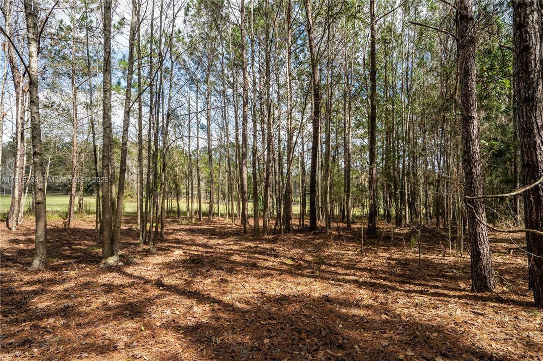 For Sale: $315,000 (0 beds, 0 baths, 0 Square Feet)