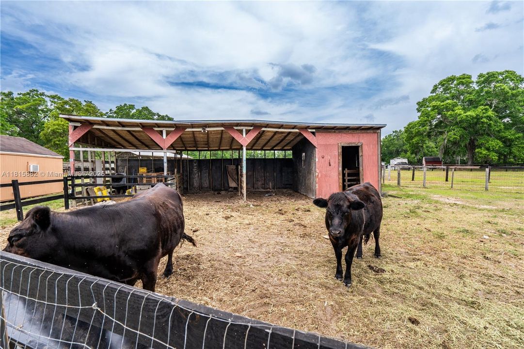 На продажу: $769,000 (3 спален, 2 ванн, 0 Квадратных фут)