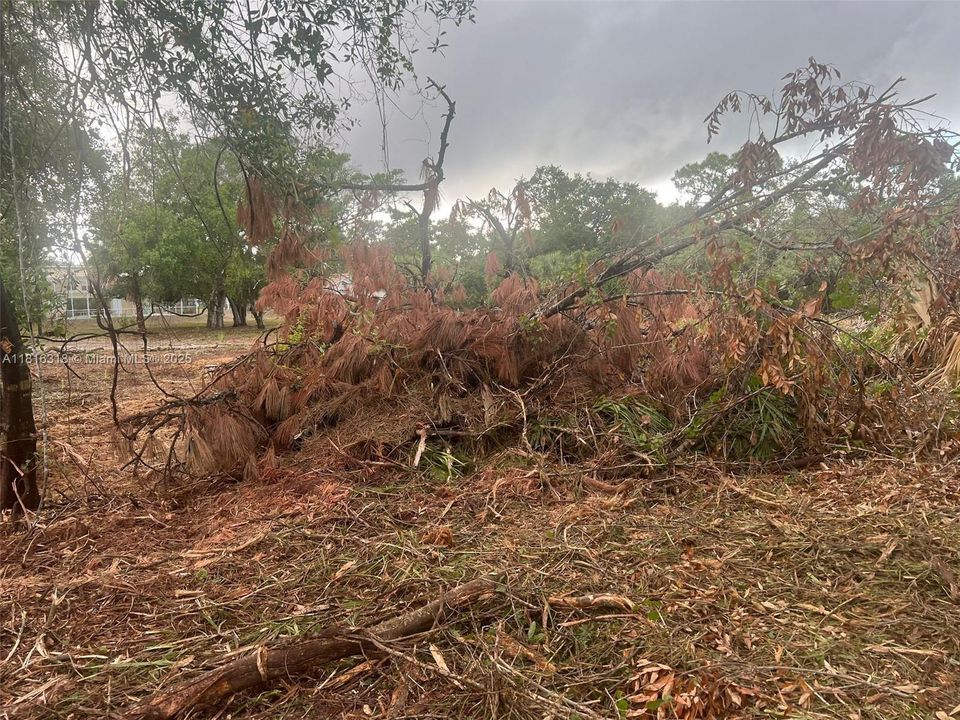 For Sale: $77,000 (1.00 acres)