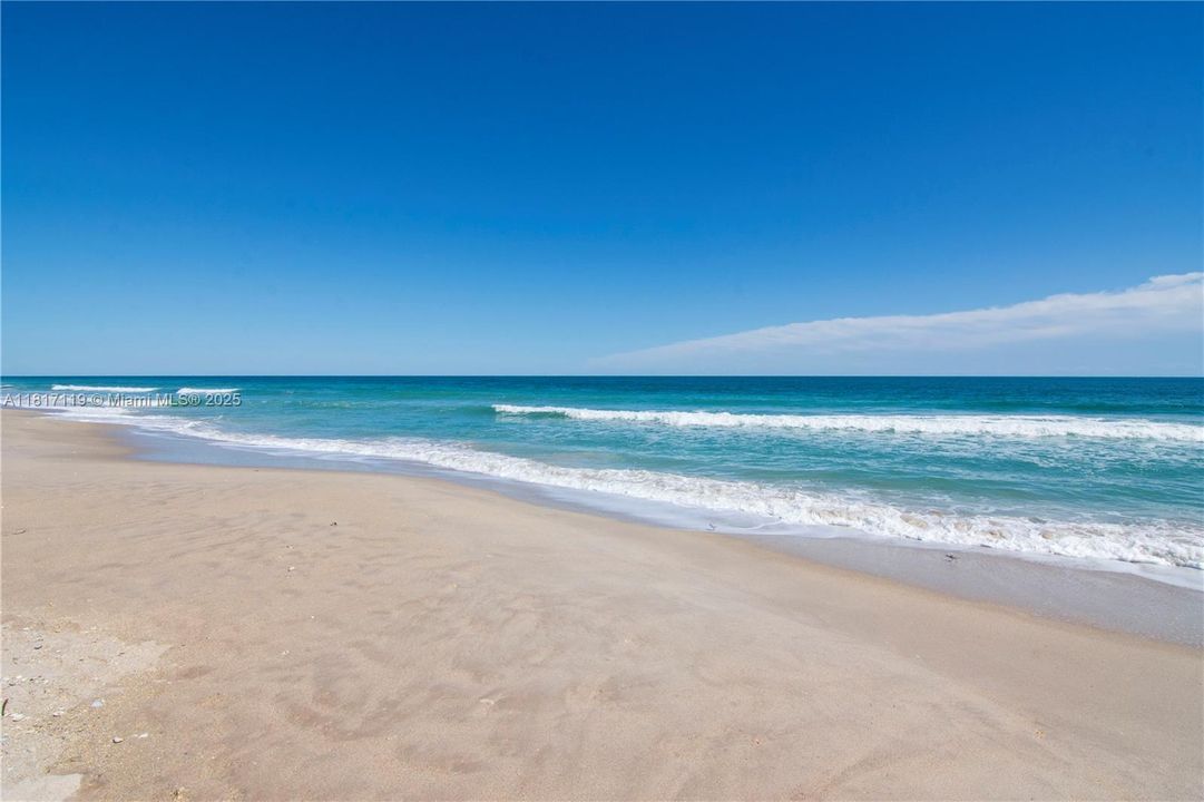Ocean View