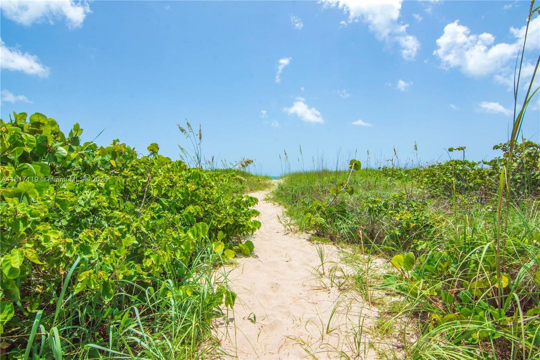 Path to Ocean