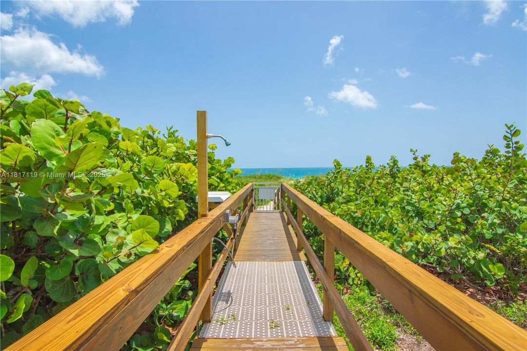 Path to Ocean