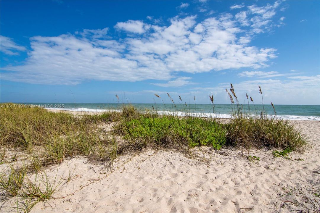 Path to Ocean