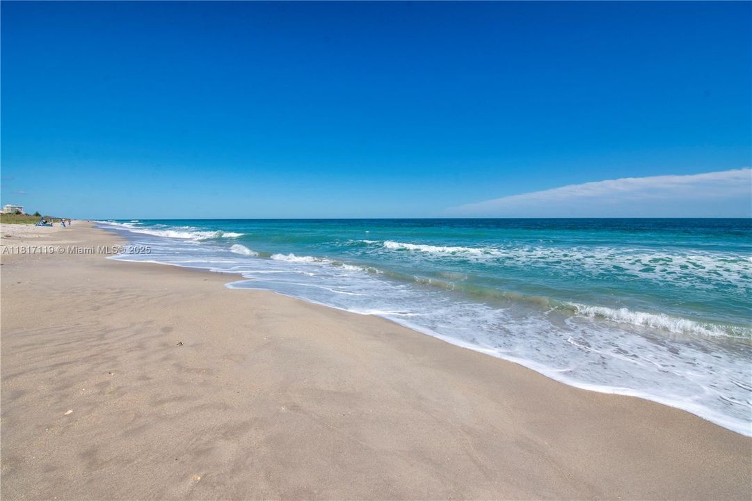 Ocean View