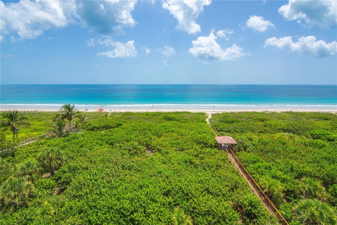 Ocean View