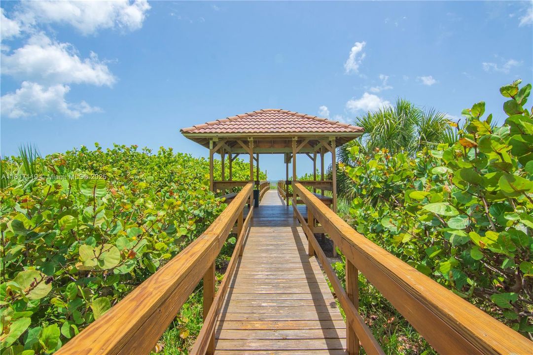 Path to Ocean