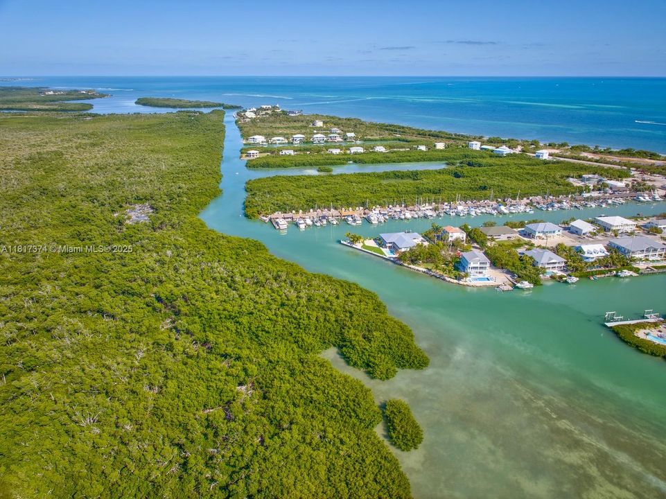 For Sale: $4,500,000 (6 beds, 5 baths, 3296 Square Feet)