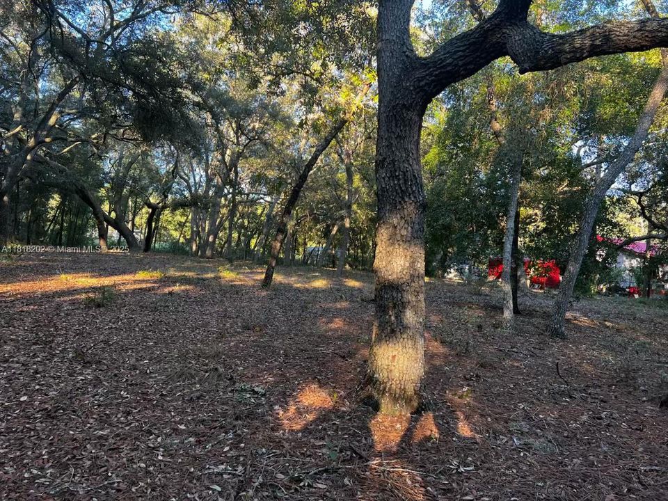 Vendido Recientemente: $50,000 (1.03 acres)